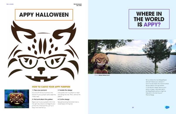 The Exchange Fall 2020 - Page 19