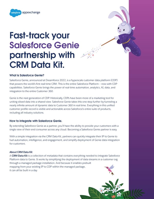 Fast-track your Salesforce Genie partnership with CRM Data Kit - Page 1