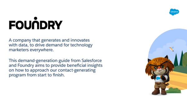 Salesforce and Foundry - Page 2